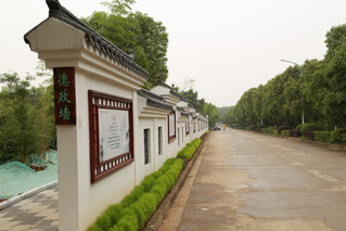美丽廉园（三）