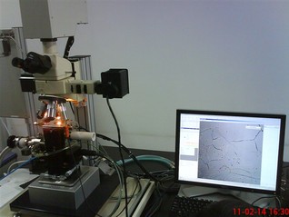 激光共聚焦高温扫描显微镜